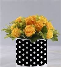 20 yellow Roses in a polka dot box